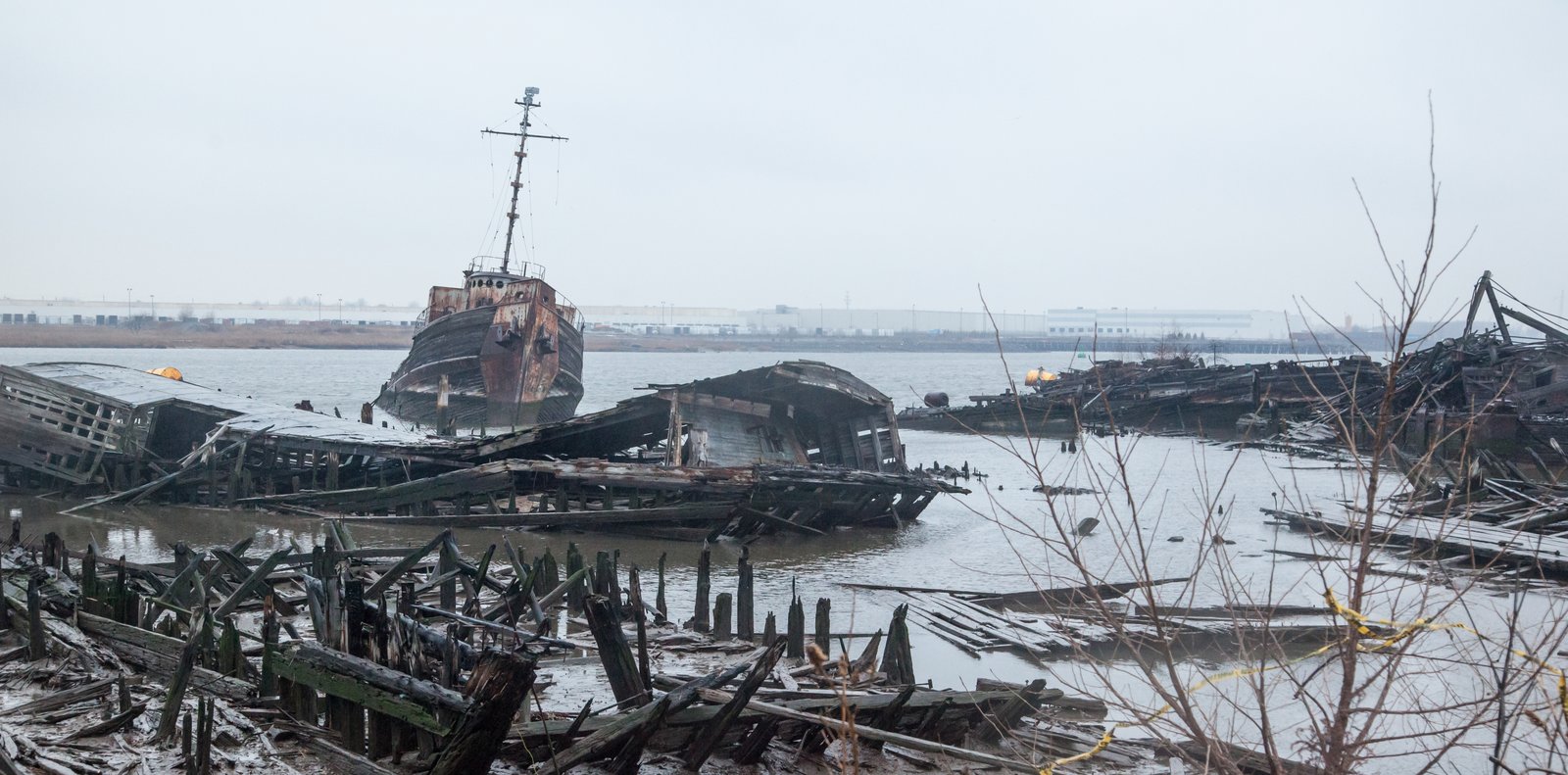 art-of-sandy-mo-staten island 2-117.jpg